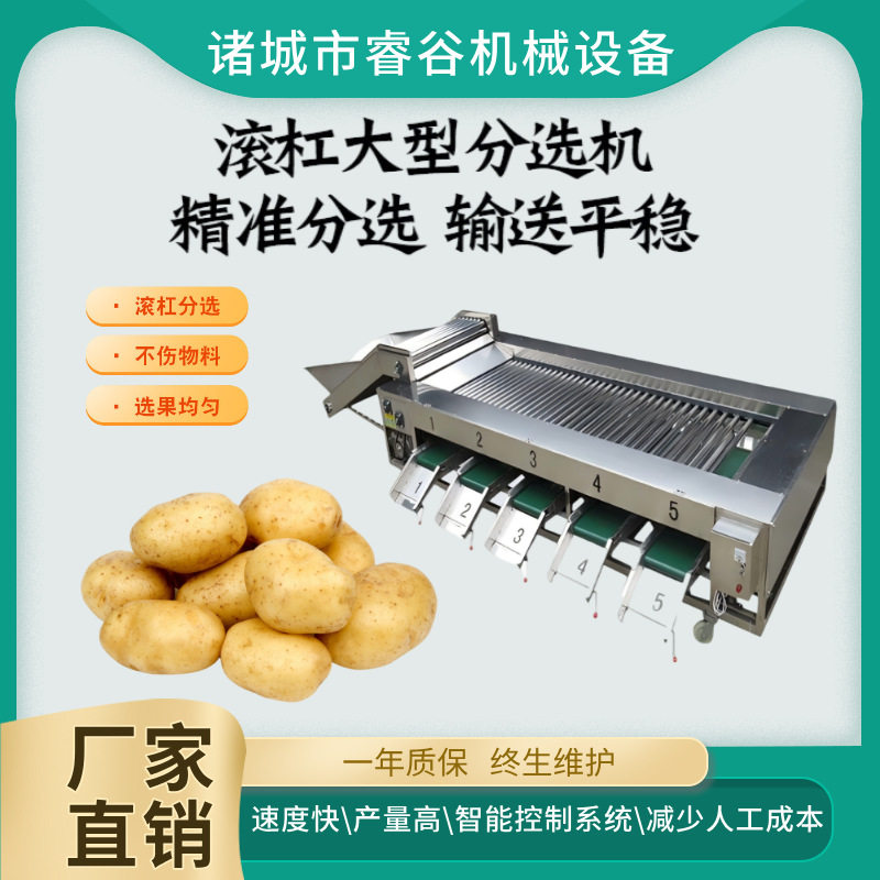 全自动土豆滚杠选果机洋葱芋头分选机商用高速百香果分级机筛选机