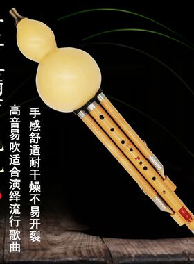 九孔葫芦丝楠竹单双调可选成年人演奏初学FG降BCD调高音易吹音准