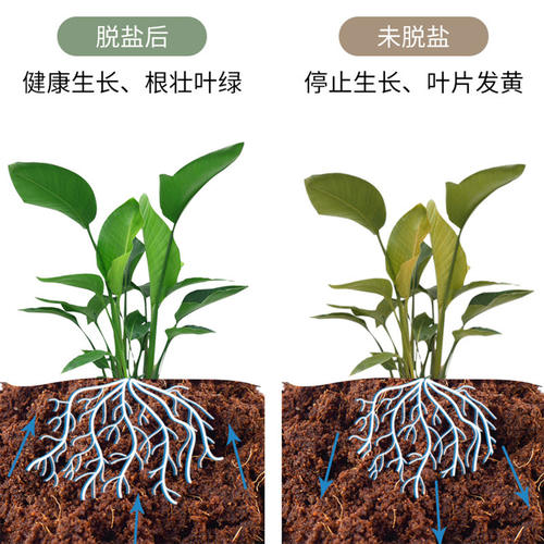 椰砖A1pq亥0-营养土椰糠粗椰壳通