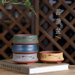自在屋精选紫砂花盆粉浆双色收口圆菖蒲苔藓绿植盆景室内桌面