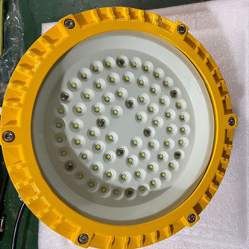 LED防爆灯 隔爆型圆形30W  50W 100W 隔爆型防爆灯 工厂车间