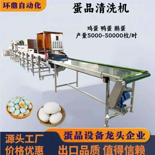 鸡蛋鸭蛋鹅蛋全自动洗蛋机蛋品清洗机全自动六排洗蛋机设备厂家