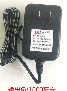 汪氏WS-06-10B儿童四轮遥控电动车充电器6v1000mA小孩童车玩具