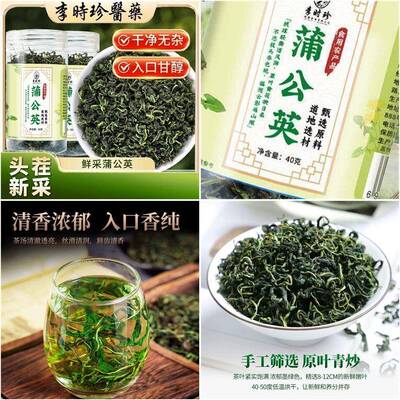 新品时李茶珍生喝公宗泡茶正药泡水养蒲茶英中材