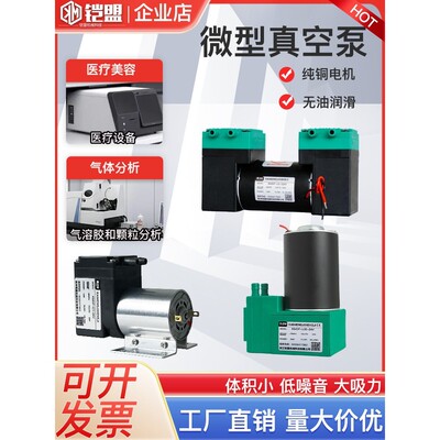 24V微型刷刷负压泵双用途隔膜泵