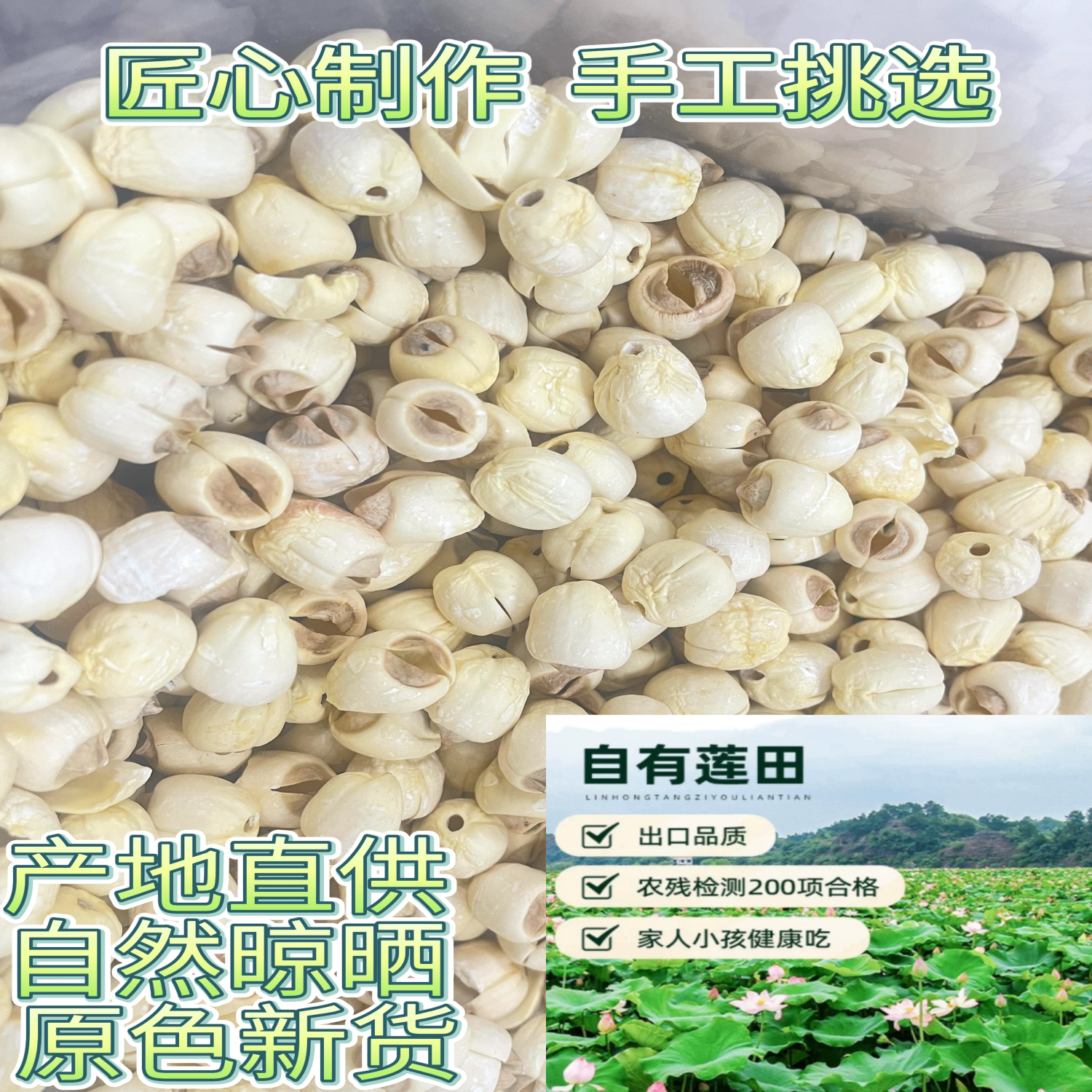 湘潭特产无芯磨皮白莲子新货