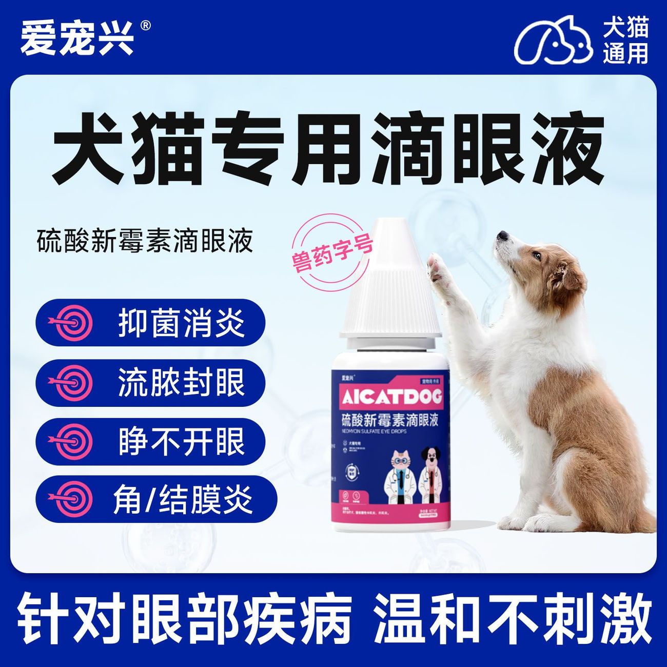 狗狗滴眼液，眼睛发炎流脓有泪痕图片