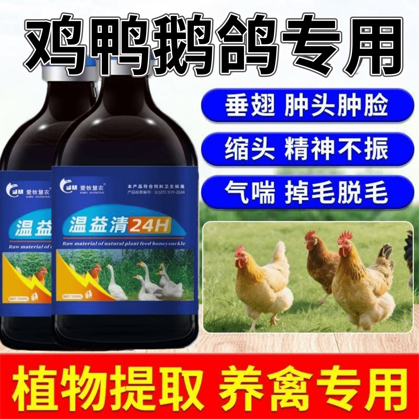 温益清鸡鸭鹅鸽子鹌鹑呆立农村散养家禽养殖鸡用药畜牧养殖添加剂