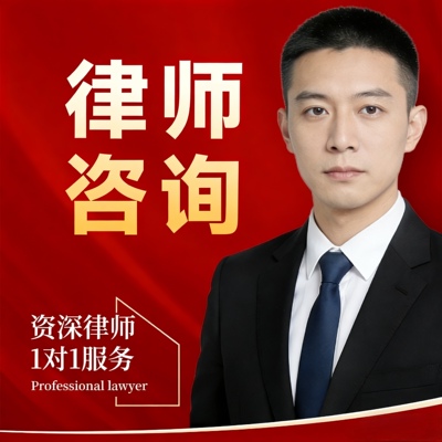 律师咨询法律咨询专业民事商事刑事法律服务10年+经验律师团队