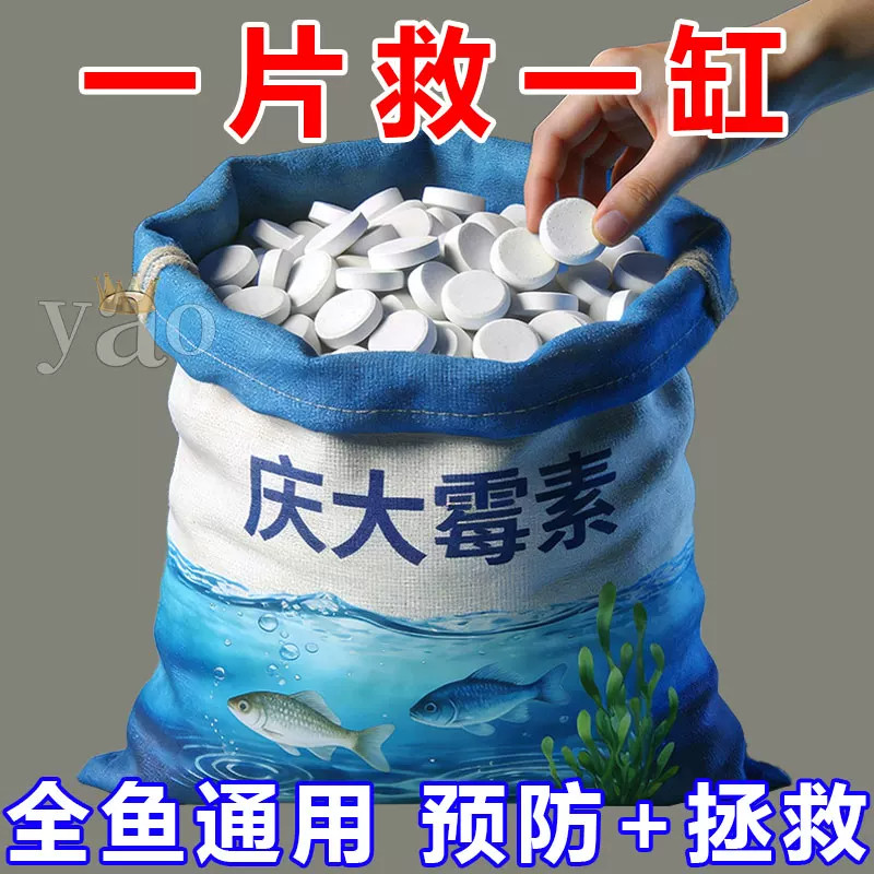 庆大霉素鱼病专用药烂身烂尾白点白毛掉磷蒙眼杀菌消炎康复消毒药