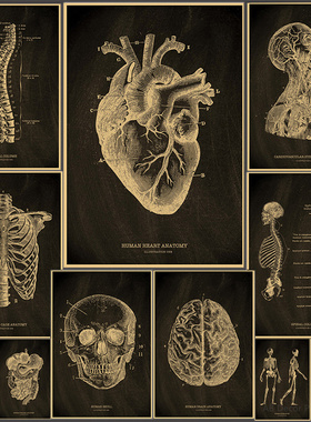 Heart/Skull/Brain Kraft Paper Poster Chalkboard Anatomical