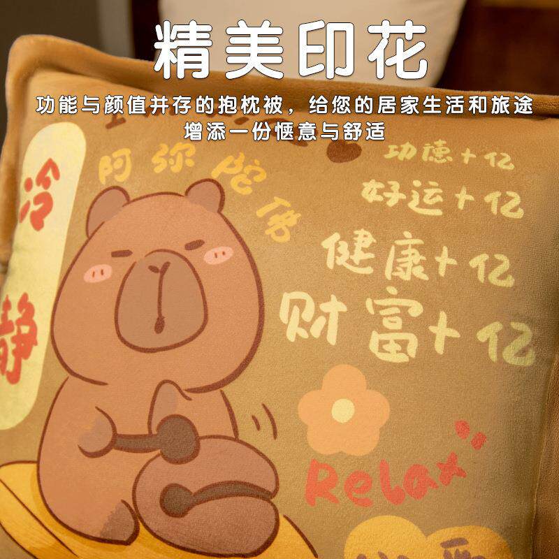 抱枕被子二合一沙发空调被办公室午睡盖被汽车载内靠枕靠垫被