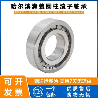 满装圆柱滚子轴承NCF202 203 204 205 206 207 208 209 210V-2RS