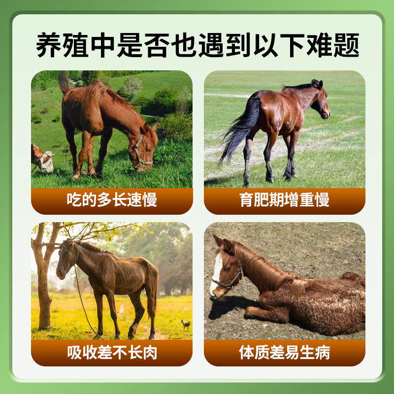 马用多维维生素预混料补充体能改善生长催肥增重饲料添加剂