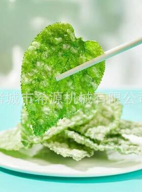 供应鸡肉条裹浆机不锈钢薯片串上浆机全自动小酥肉淋浆裹粉设备