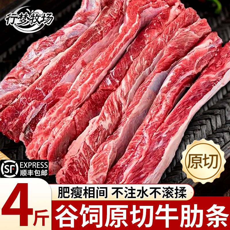 原切牛肋条安格斯谷饲精修雪花牛肉烧烤牛腩新鲜冷冻生鲜商用食材