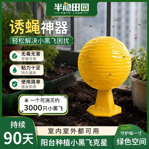 半隐田园小飞虫家用粘虫球厨房垃圾桶水果店专用果蝇黑飞物理诱捕
