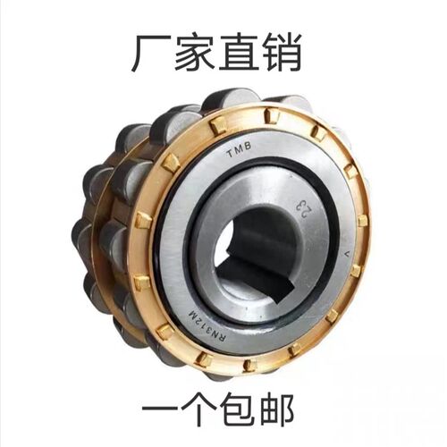 带偏心套 偏心轴承RN205 RN206 RN307 309 312 219 222 228减速机