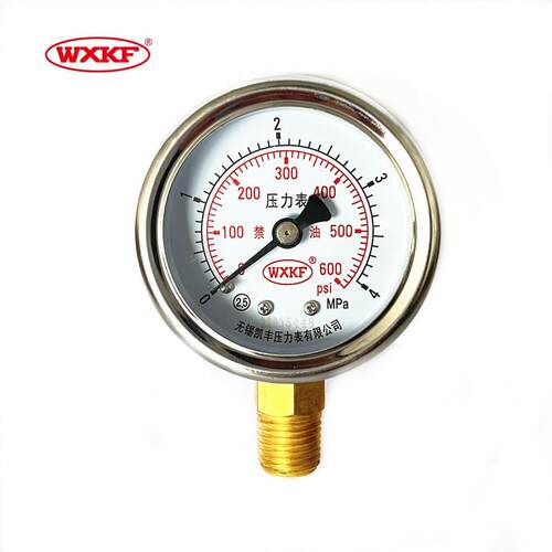 Y50杜瓦瓶径向禁油400PSI/600PSI/900PSINPT1/4不锈钢表壳气瓶