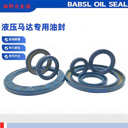 进口德国BABSL 300*340*20/10氟胶高压骨架油封300*340*20/10丁青