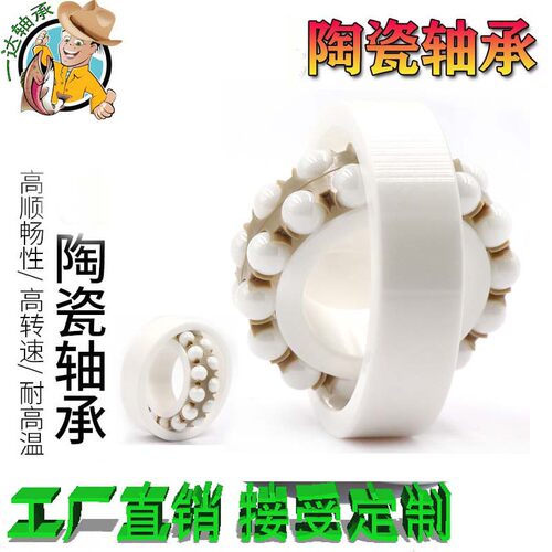 全陶瓷氧化锆轴承1200ce微型调心轴承 耐酸碱腐蚀轴承防水无磁性