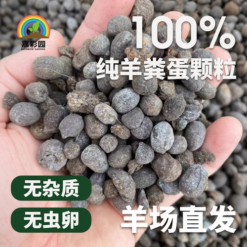 嘉彩园纯天然干羊粪蛋颗粒无虫
