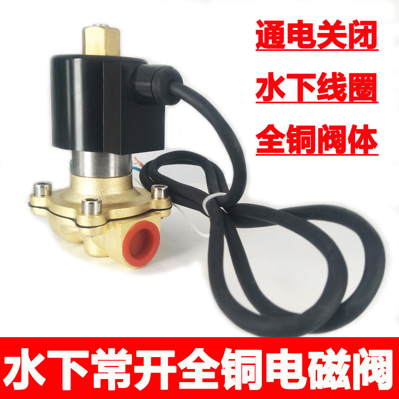 常开全铜水下喷泉防水电磁阀水阀地埋式控制阀220v开关阀24v线圈
