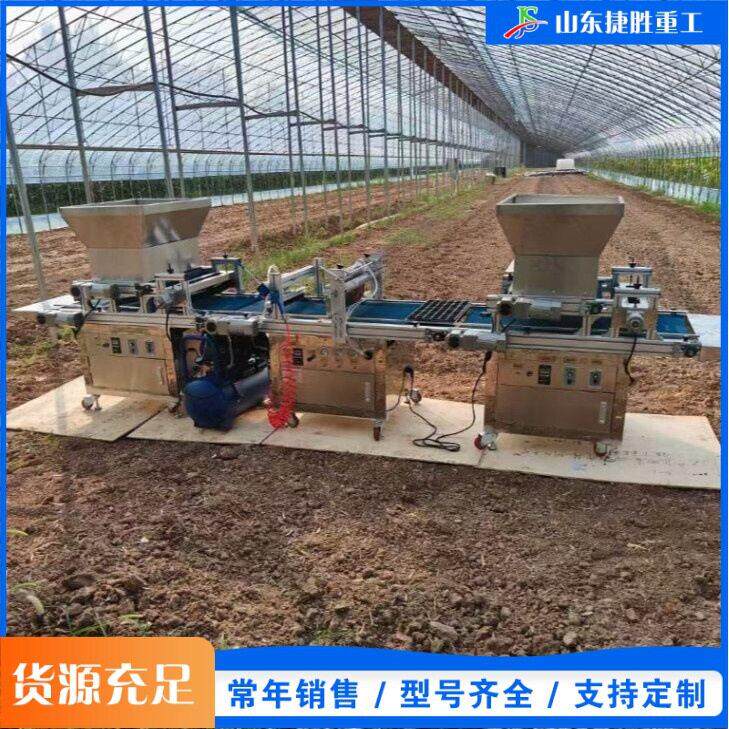全自动穴盘育苗播种机 农用蔬菜花卉种子点播机 针吸式育秧点籽机