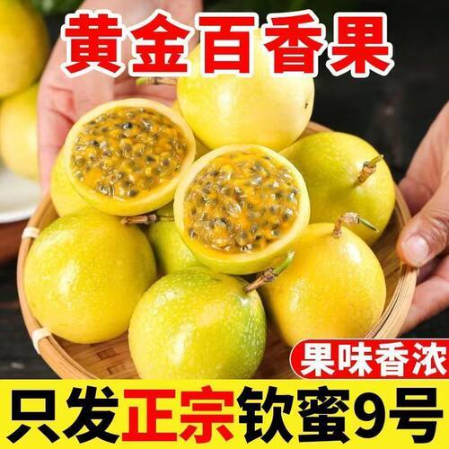 黄金百香果新鲜水果果味香浓正宗软蜜9号当季采摘奶茶店批发
