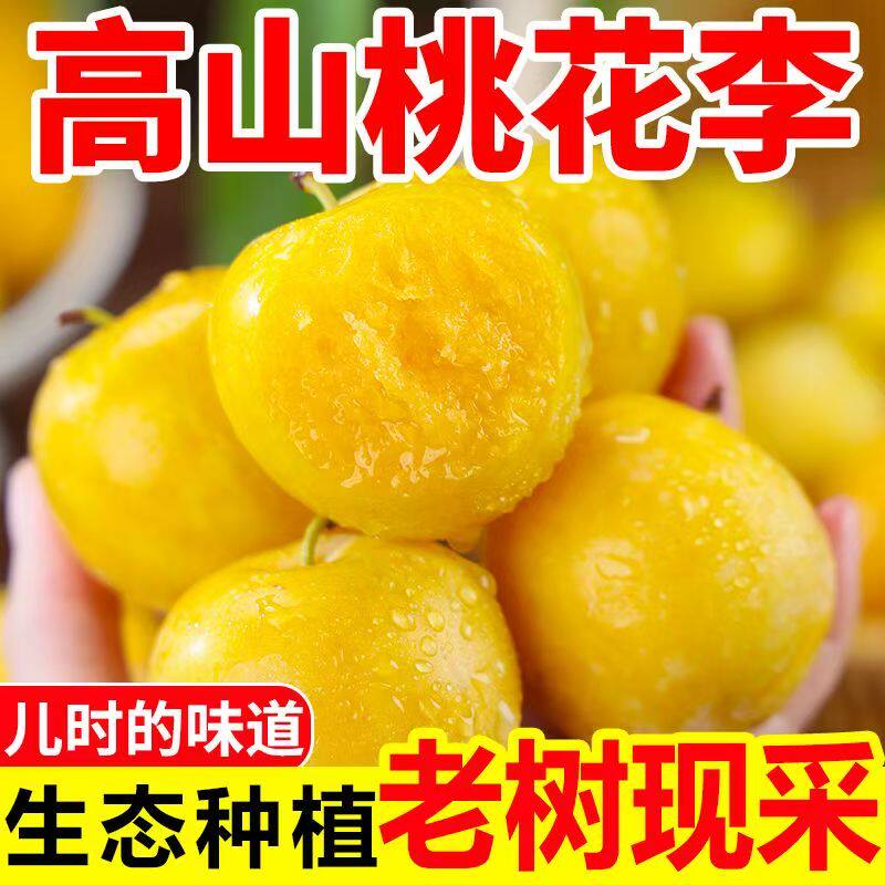 高山冰糖李新鲜桃花李时令水果精选大果孕妇可吃产地直发鲜甜多汁