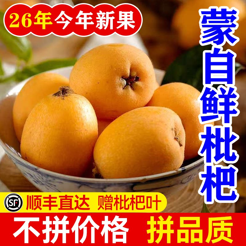 【顺丰包邮】云南蒙自枇杷皮薄清甜润喉酸甜多汁高山树熟枇杷A