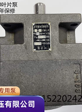 全新平面磨床叶片泵YB1-100油泵杭机桂北川磨原厂配件仙居泵/7130