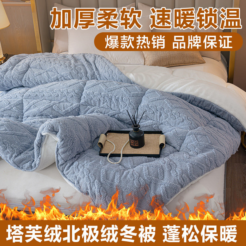 秋冬保暖加厚冬被加厚塔芙绒羊羔绒冬被子双面绒春秋被子被芯y