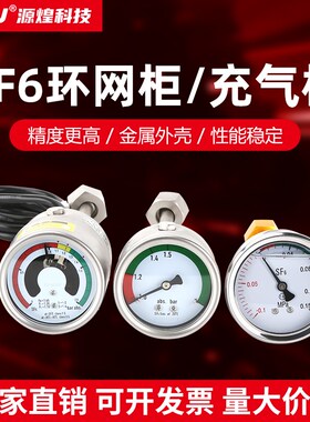 SF6气体密度表60mm环网/充气柜压力表六氟化硫气压监测报警气压表