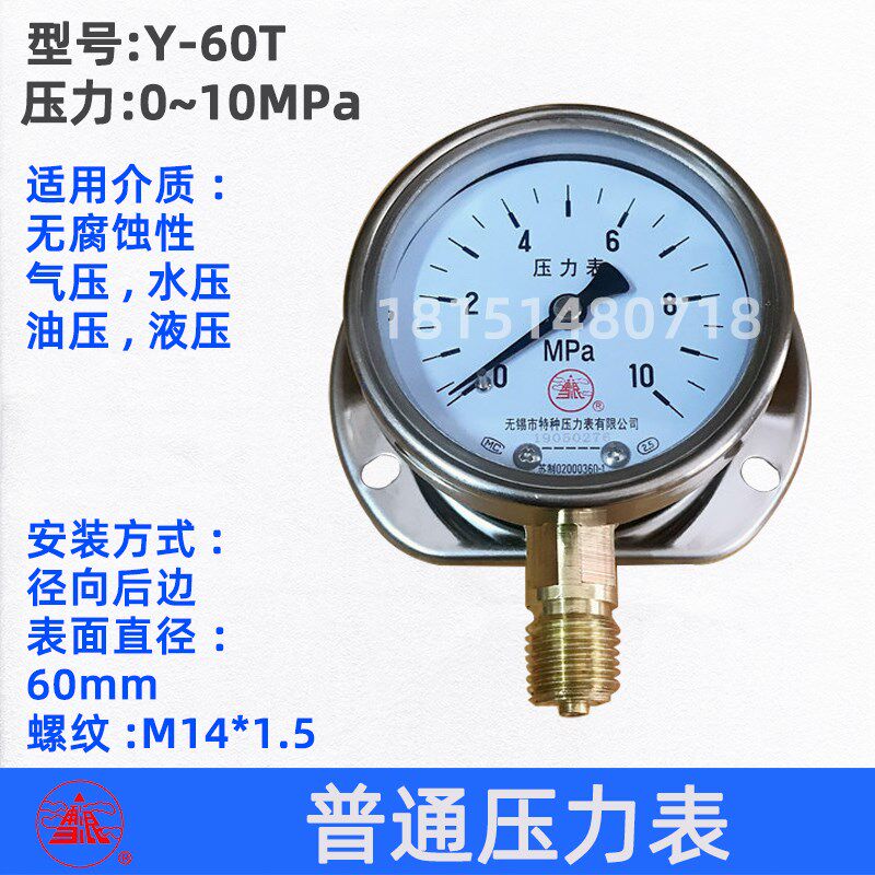 无锡特种雪浪牌 Y-60T 径向带后边弹簧管气压液压压力表10MPa