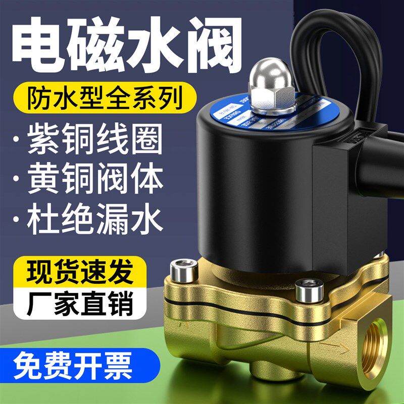 2W防水型电磁阀常闭开关控制阀电磁水阀紫铜线圈AC220V 2分1寸2寸