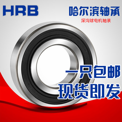 哈尔滨轴承6200 6201 6202 6203 6204 6205 66206 62072Z-2RS人本