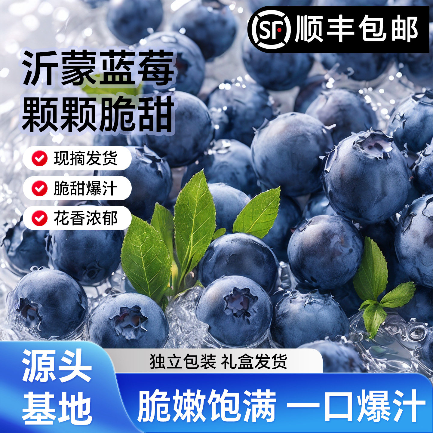沂蒙蓝莓新鲜时令水果当季20mm鲜果现摘花香高山孕妇整箱顺丰包邮