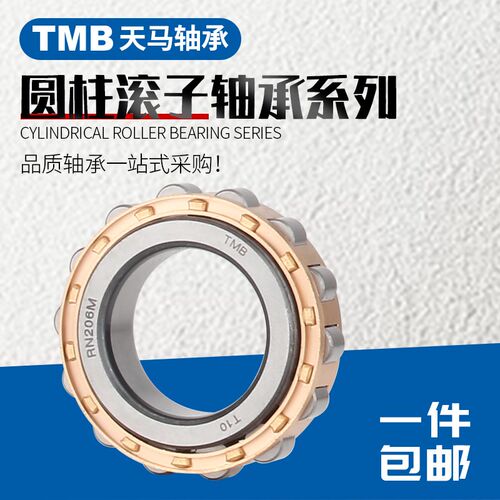 天马减速机偏心轴承RN204 205 206 307 309  312 219 222 228M