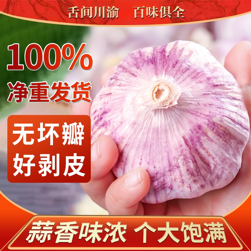 26年农家紫白皮大蒜头净重发货