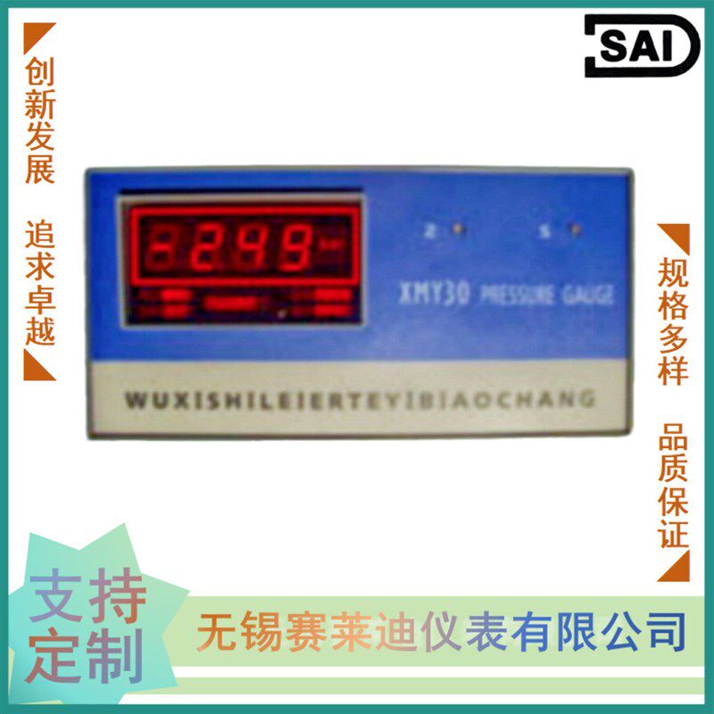 无锡赛莱迪 数字压力显示仪 XMY-30