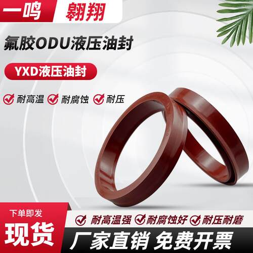 氟胶YXd/ODU油封Y型55/56/60/63/65/70*43/44/48/51/53/58*10/14
