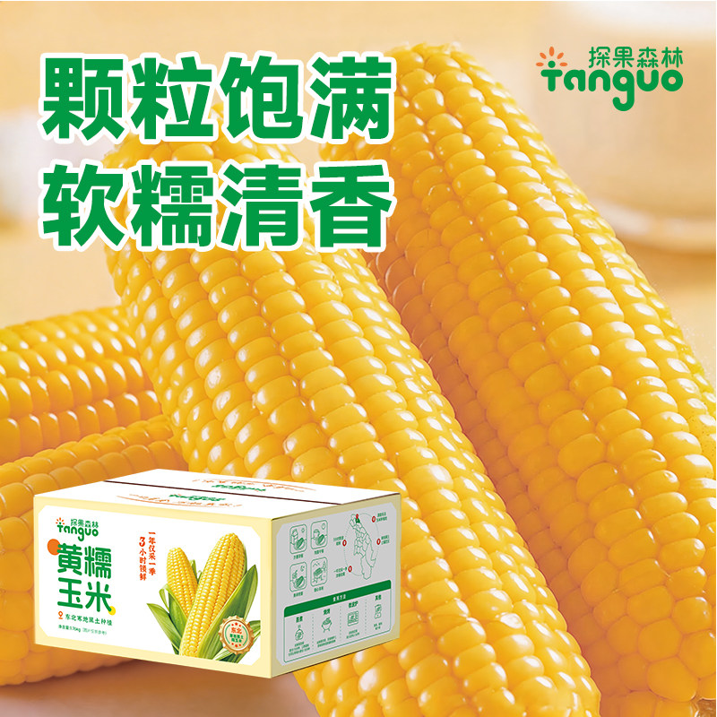探果森林黑龙江黄糯玉米软糯清香非转基因颗粒饱满真空玉米箱装