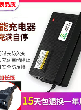 乖乖兔电动电瓶车铅酸充电器大功率新国标两孔48V12AH60V72伏84V9