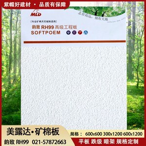无孔喷砂矿棉板美露达韵致磨砂面防潮RH99吊顶吸音矿棉装饰材料