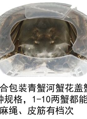 河蟹青蟹花盖蟹盒包装盒礼品盒固定器捆绑器螃蟹别墅速装器免捆绑