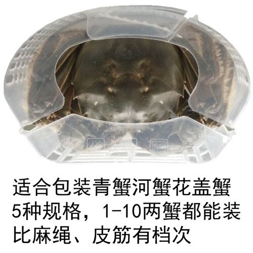 河蟹青蟹花盖蟹盒包装盒礼品盒固定器捆绑器螃蟹别墅速装器免捆绑