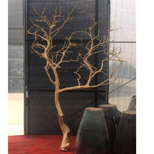 天然干树枝树装饰客厅婚礼树路引道具落地摆件枯树杆造景花艺玄关