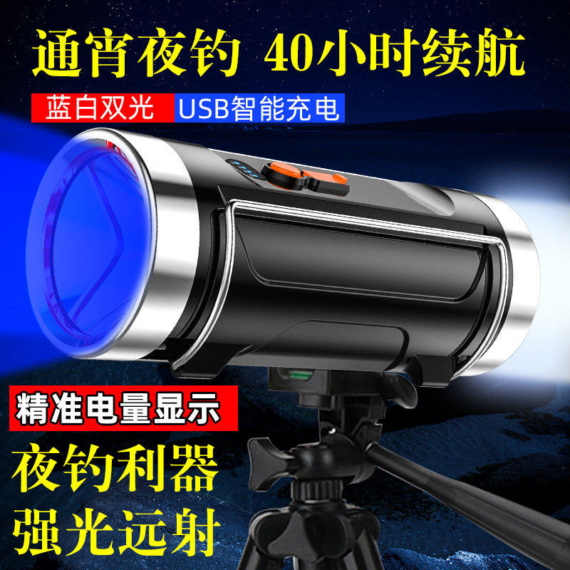 钓鱼灯水上漂超亮强光氙
