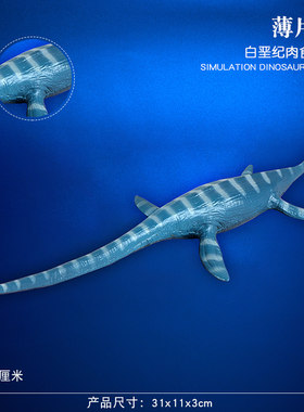 儿童史前海洋恐龙玩具远古巨兽海底生物达克龙薄片龙鱼龙仿真动物